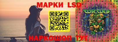 ПСИЛОЦИБИНОВЫЕ ГРИБЫ Бердск