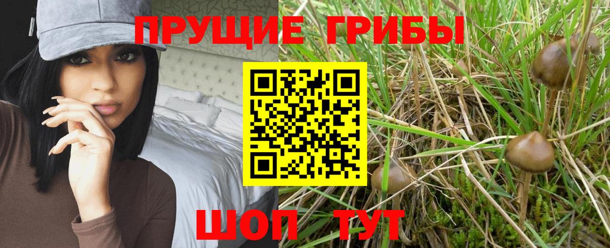 Кубинка  Псилоцибиновые грибы ЛСД  Вход с VPN 