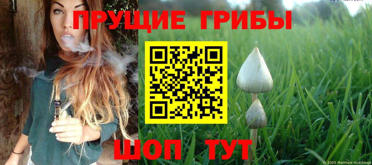 Псилоцибиновые грибы GOLDEN TEACHER Кубинка